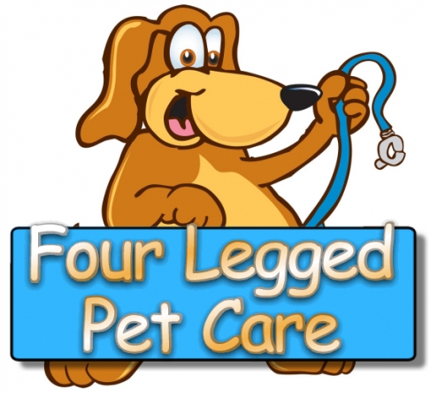 Dog Boarding In Miami Lakes Dog Boarding In Miami Lakes